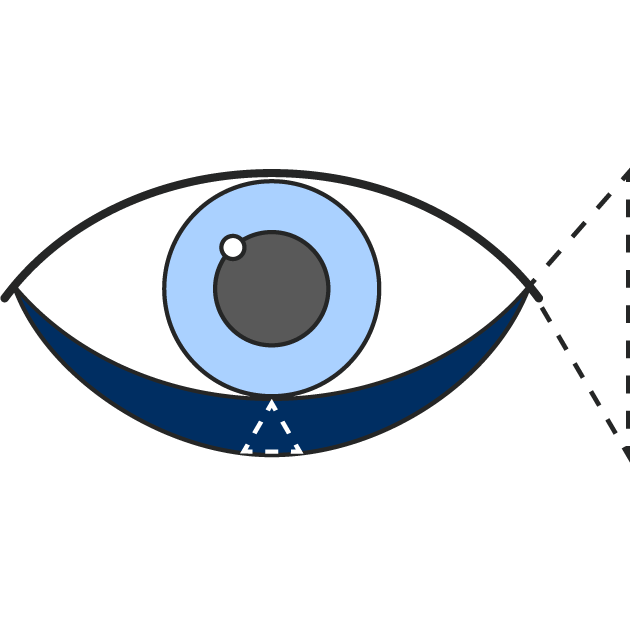 Icon Augenlid